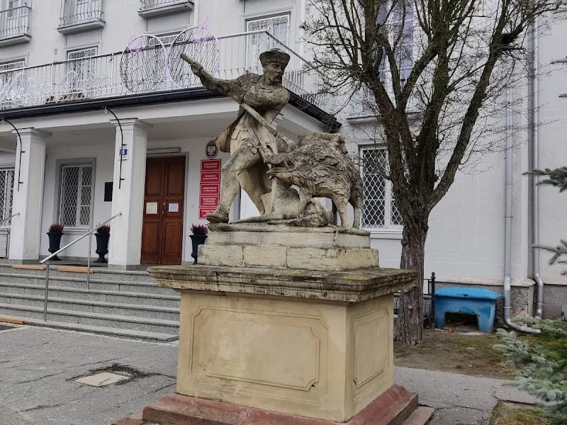 Rada Miasta i Gminy Kozienice - Pielęgniarstwo domowe in Kozienice, Kozienice photo 3