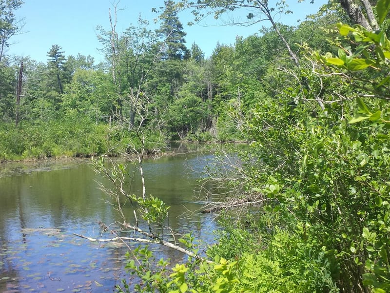 725 River Road - Assisted Living in Windham, ME photo 2