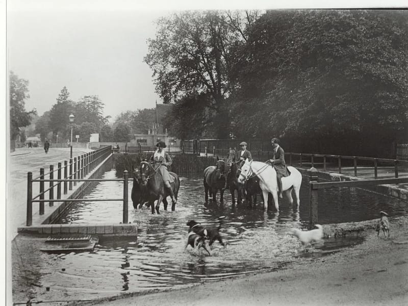 Silversprings in Watford, England photo 2
