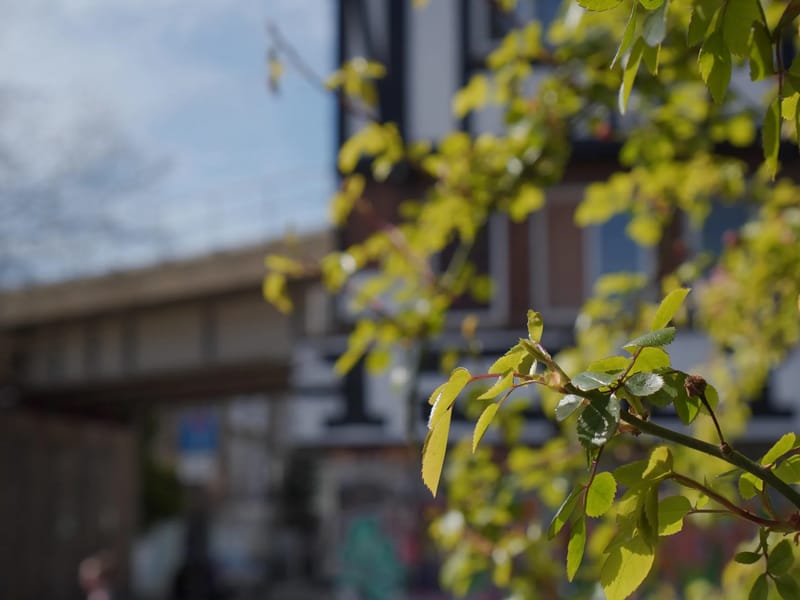 16 Balnacraig Avenue (The Leaves) - Assisted Living in London, England photo 1