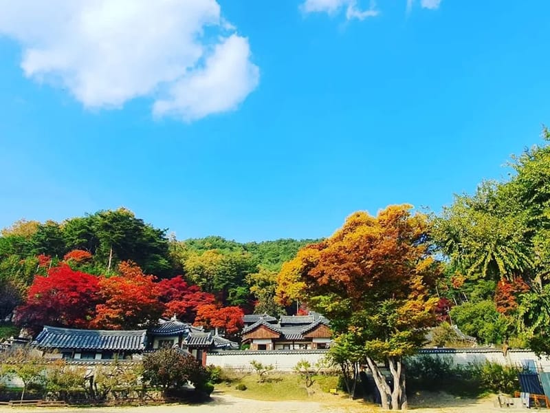 보현원 안동지점 - 요양원 in 안동시, 경상북도 photo 2