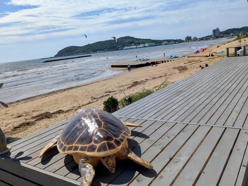 うみがめプラン - 有料老人ホーム in 福津市, 福岡県 photo 2