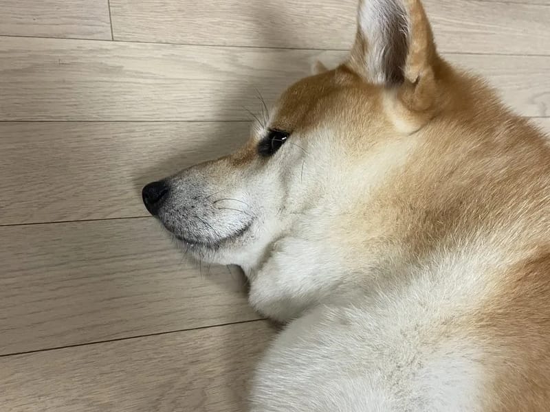 대복복지용구 in 강서구, 부산광역시 photo 2