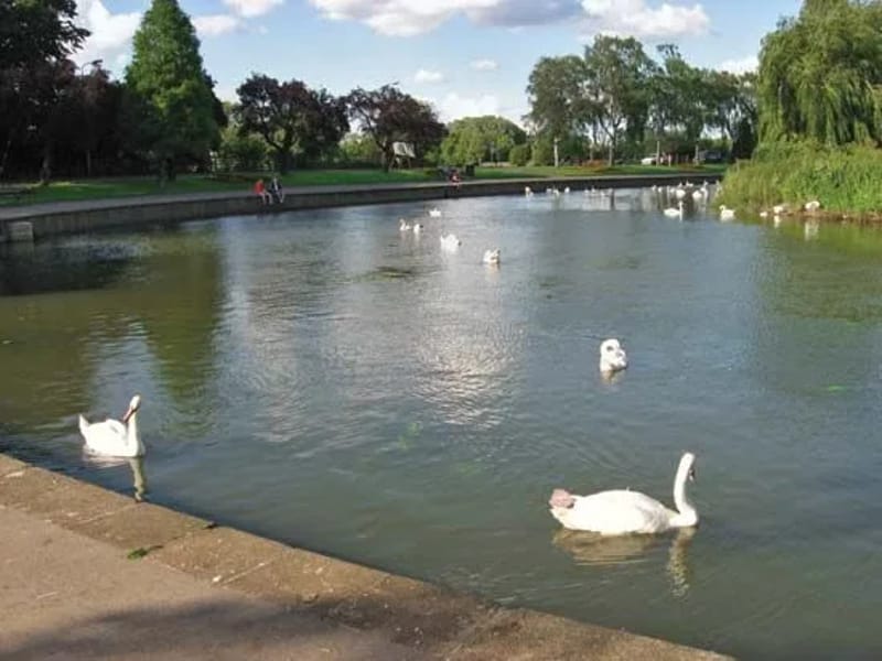 The Ferns - In-Home Care in Wellingborough, England photo 2