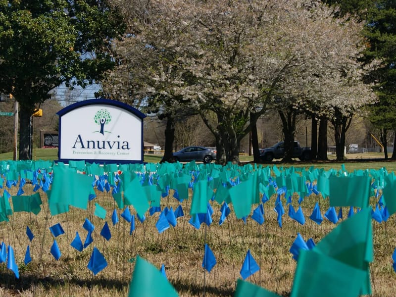 Anuvia Prevention And Recovery Center, INC - Home Health Nursing in Charlotte, NC photo 1