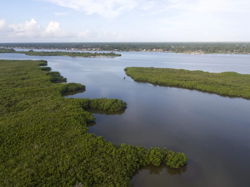 Edgewater - Nursing Home in Auckland, Counties Manukau District Health Board photo 2
