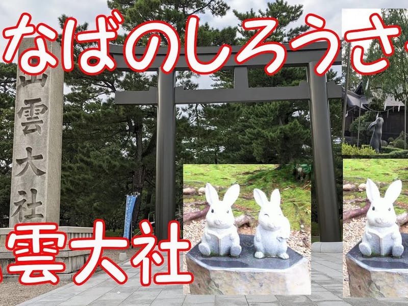 いなばの夢うさぎ - 有料老人ホーム in 尼崎市, 兵庫県 photo 4