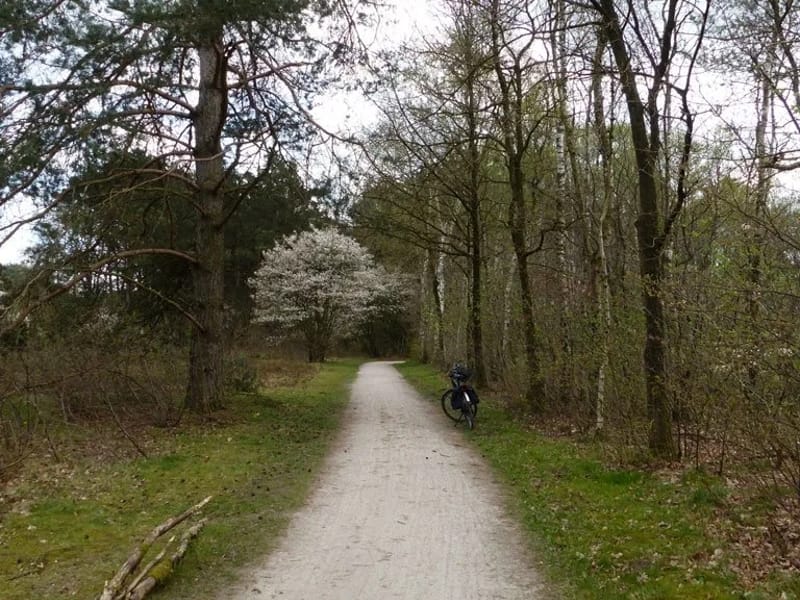Leger des Heils Welzijns- en Gezondheidszorg De Blinkert - Verpleeghuis in Baarn, Utrecht photo 5