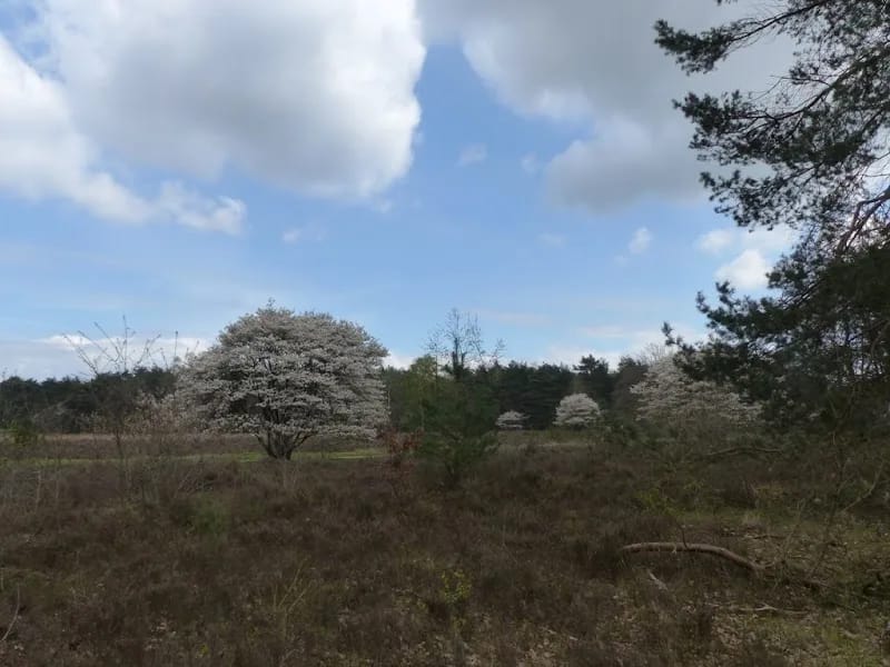 Leger des Heils Welzijns- en Gezondheidszorg De Blinkert - Verpleeghuis in Baarn, Utrecht photo 3