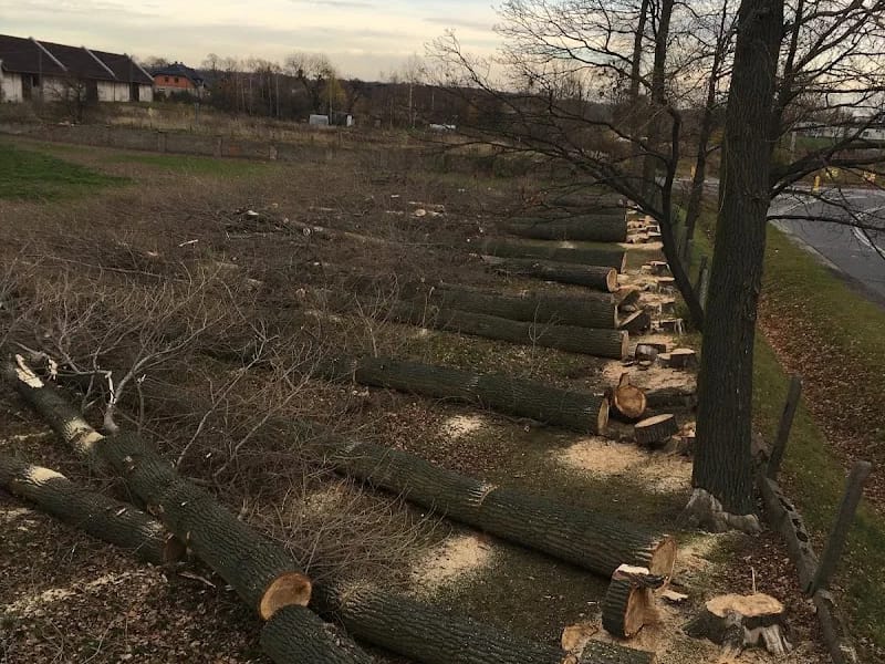 Centrum Opieki Walidrogi - Pielęgniarstwo domowe in Walidrogi, Tarnów Opolski photo 7