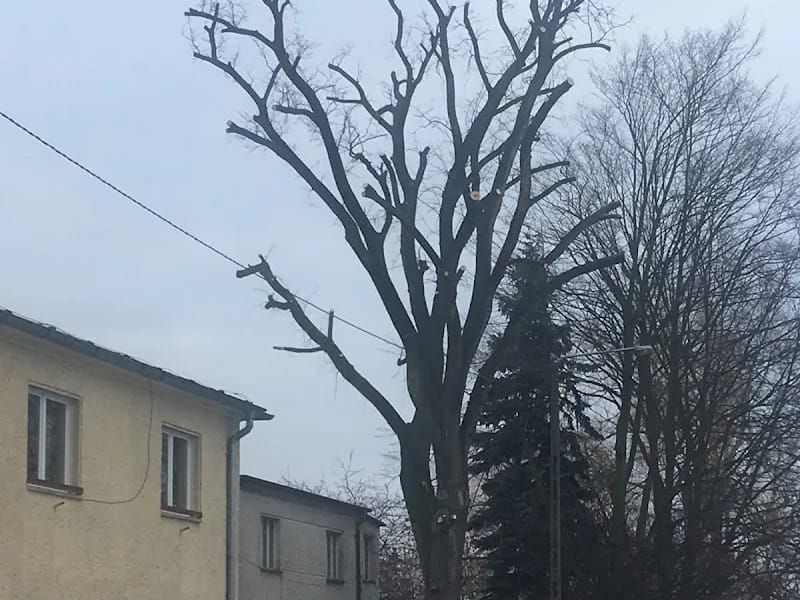 Centrum Opieki Walidrogi - Pielęgniarstwo domowe in Walidrogi, Tarnów Opolski photo 8