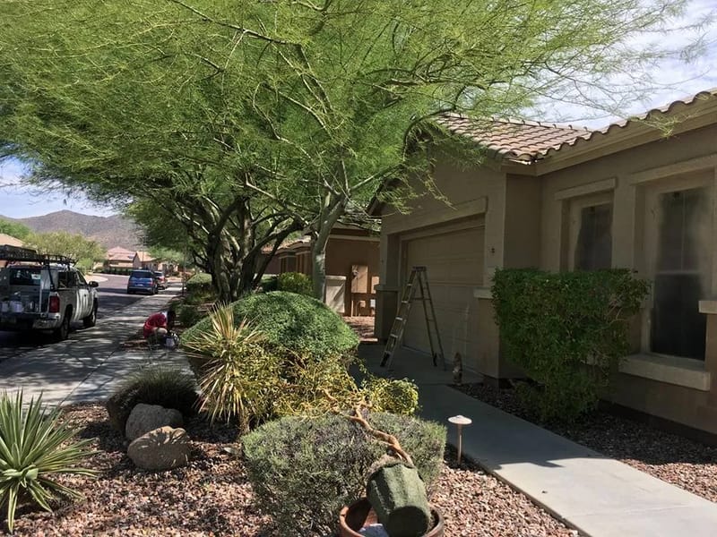 Flawless Living Care Of Arizona LLC - Home Health Nursing in Anthem, AZ photo 3