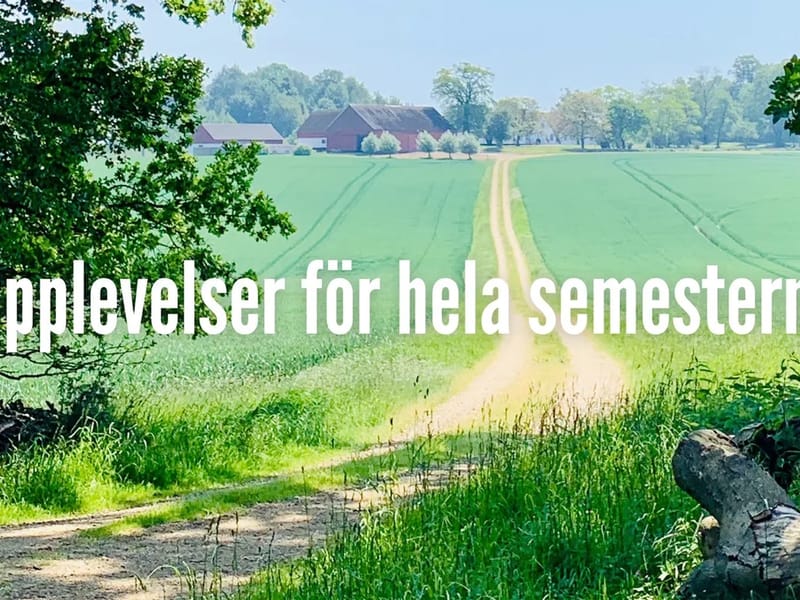 Hemtjänst Norr - Hemtjänst in Svedala, Skåne län photo 2