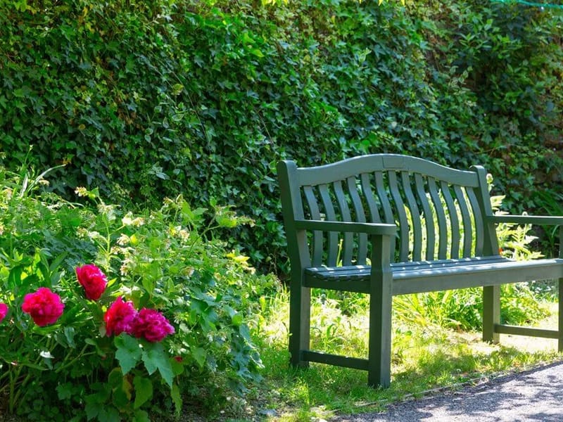 Woodland Hall - Nursing Home in Stanmore, England photo 3