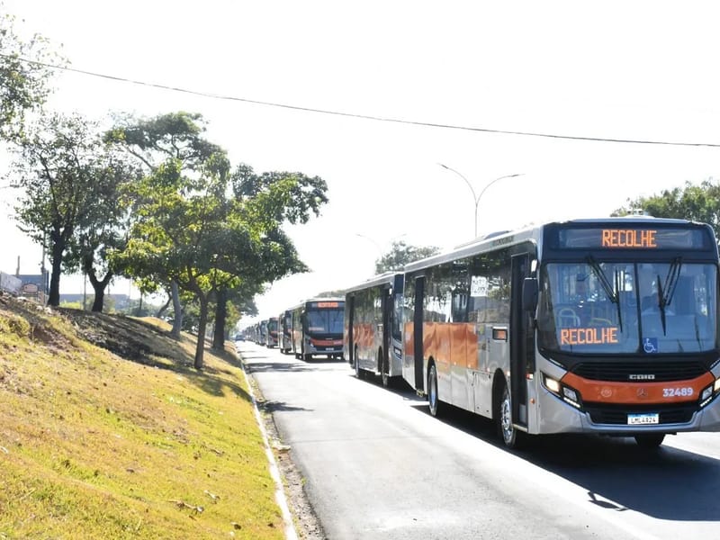 A R E C A - Cuidado Domiciliar in Sumaré, SP photo 3
