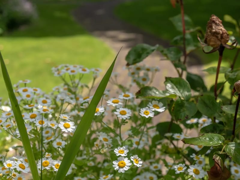 Martha House - Nursing Home in Hereford, England photo 5