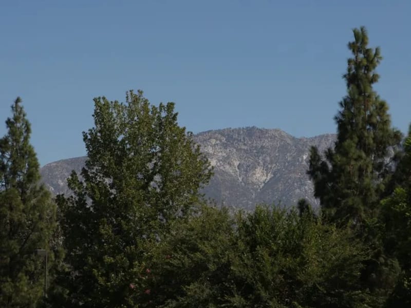 Active Board And Care - Assisted Living in Upland, CA photo 1