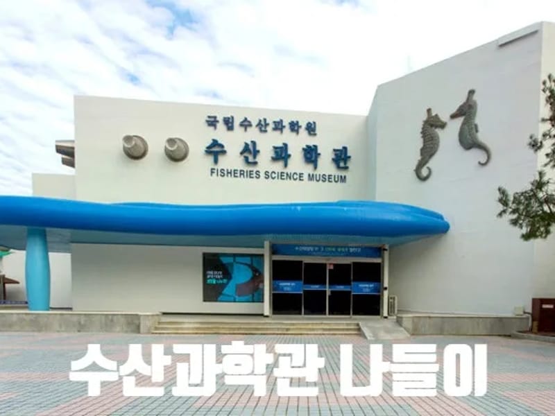 "(기장)효사랑데이케어센터2 in 기장군, 부산광역시 photo 3