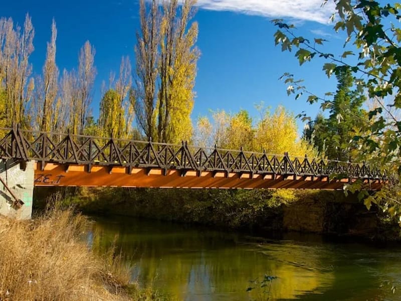HEBRAS DE PLATA - Vida Asistida in PUERTO MADRYN, CHUBUT photo 1