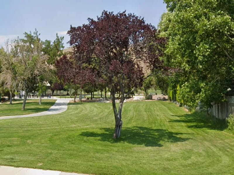 Adult Care At Pah Rah - Assisted Living in Sparks, NV photo 1