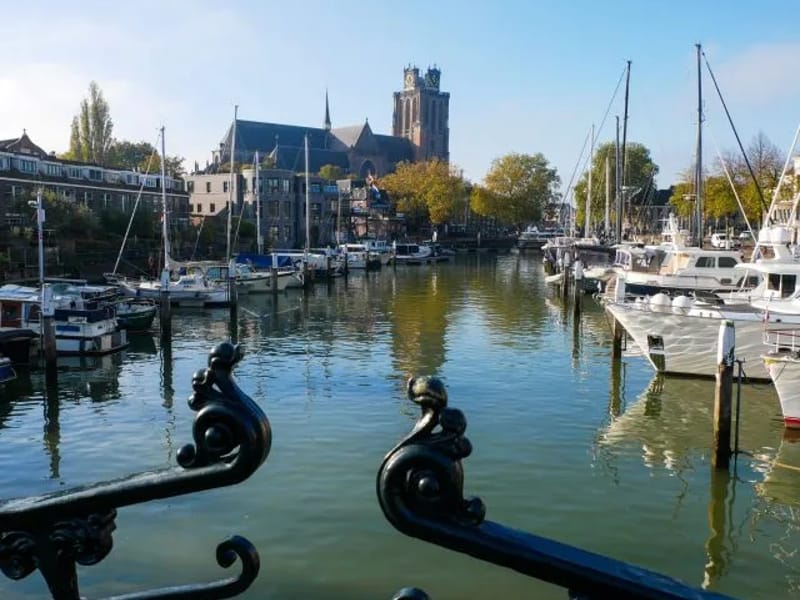 buytenhaven - Begeleid Wonen in Dordrecht, Zuid-Holland photo 1