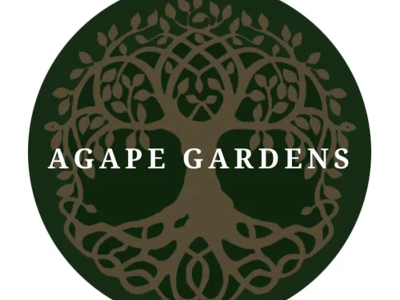 Agape Garden'S Llc - Assisted Living in Vacaville, CA photo 2