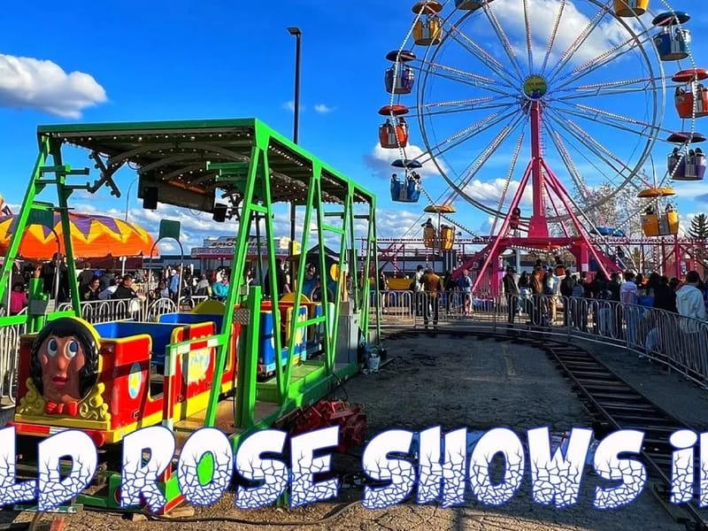 Wild Rose in Edmonton, AB photo 3