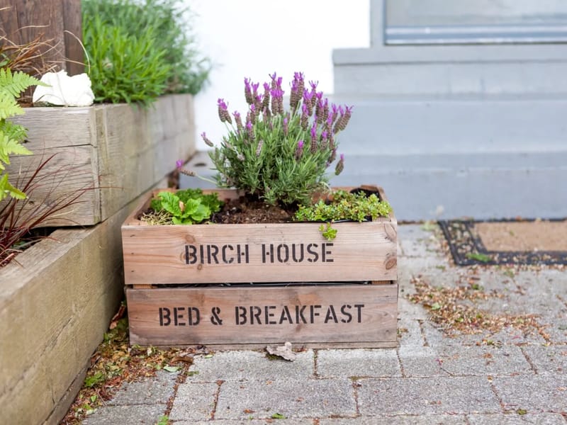 Birch Social Limited - In-Home Care in Weymouth, England photo 2