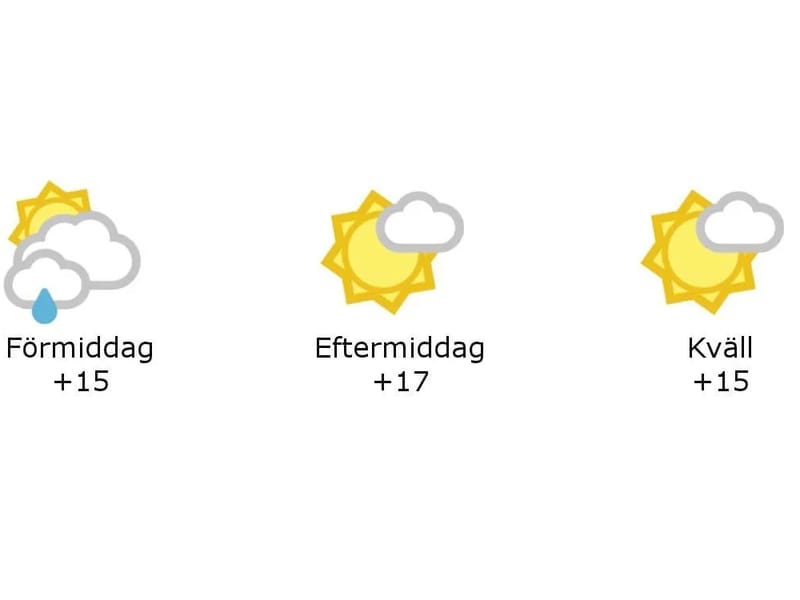 Blommans Hemtjänst och Service i Halland - Hemtjänst in Varberg, Hallands län photo 3
