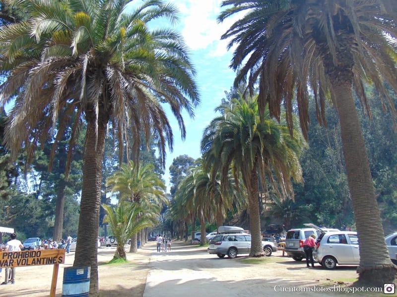 Jardin Del Roble - Hogar de Ancianos in Viña Del Mar, Región de Valparaíso photo 1