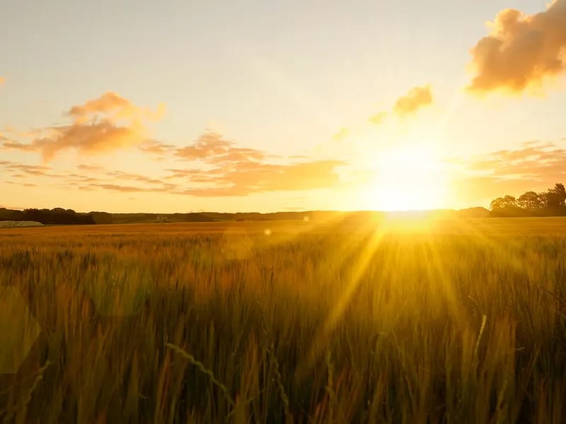 Ascend at Aurora - Nursing Home in Aurora, MO photo 1