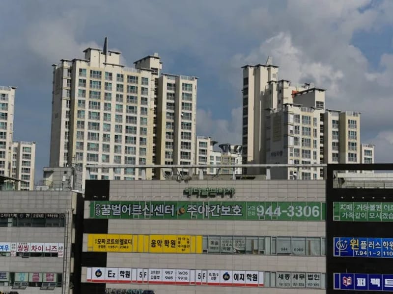 "꿀벌어르신센터" in 파주시, 경기도 photo 1