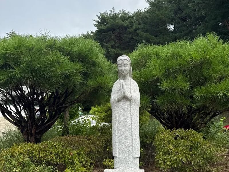 갈바리노인복지센터1 - 요양원 in 강릉시, 강원특별자치도 photo 1