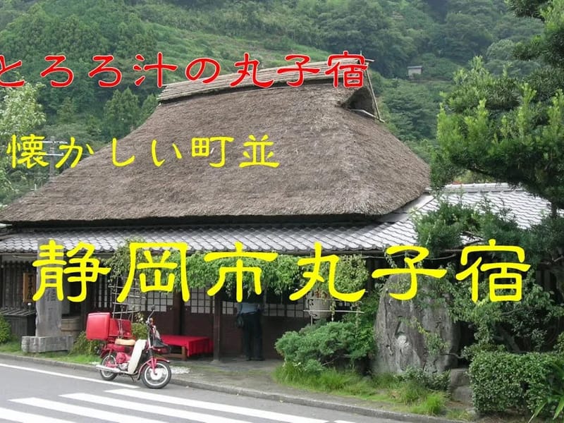 まごころタウン*静岡 - 有料老人ホーム in 静岡市駿河区, 静岡県 photo 1
