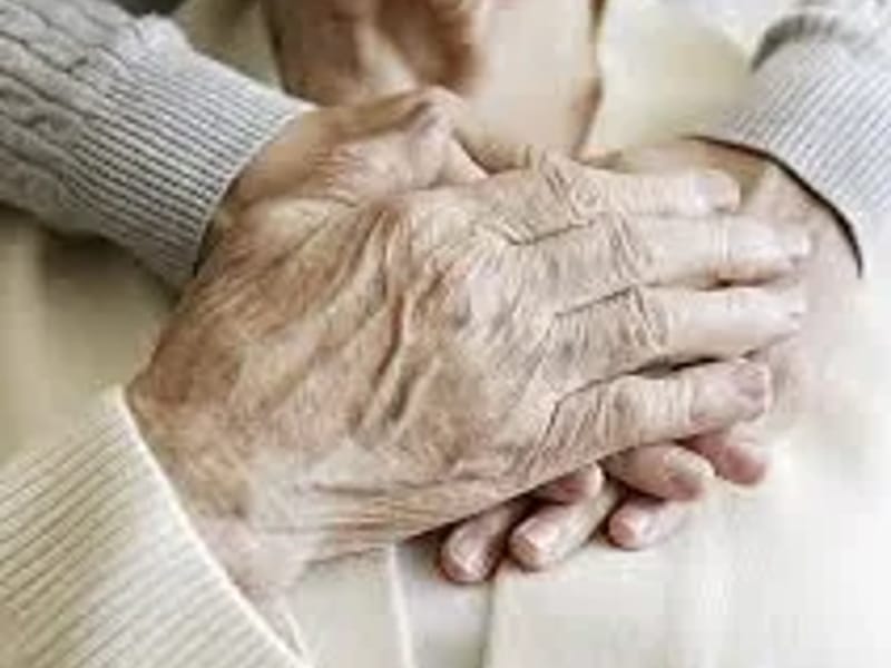 Fair Meadow Nursing Home - Nursing Home in Fertile, MN photo 2