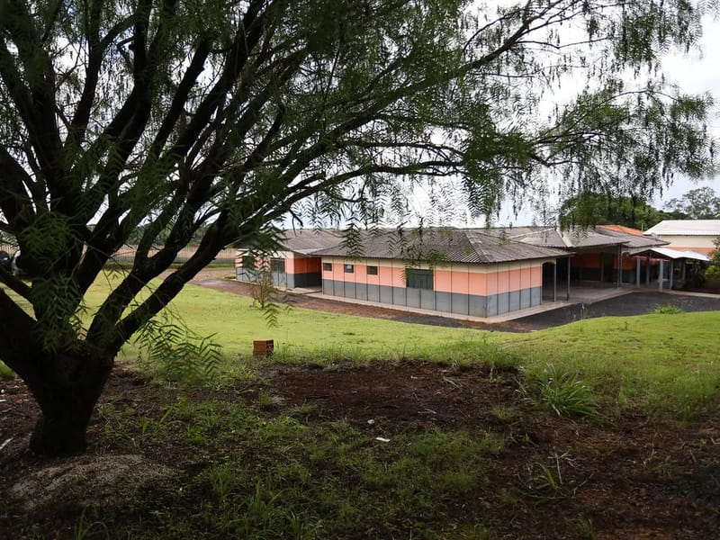 APAE DE CANDOI - Cuidado Domiciliar in Candói, PR photo 2