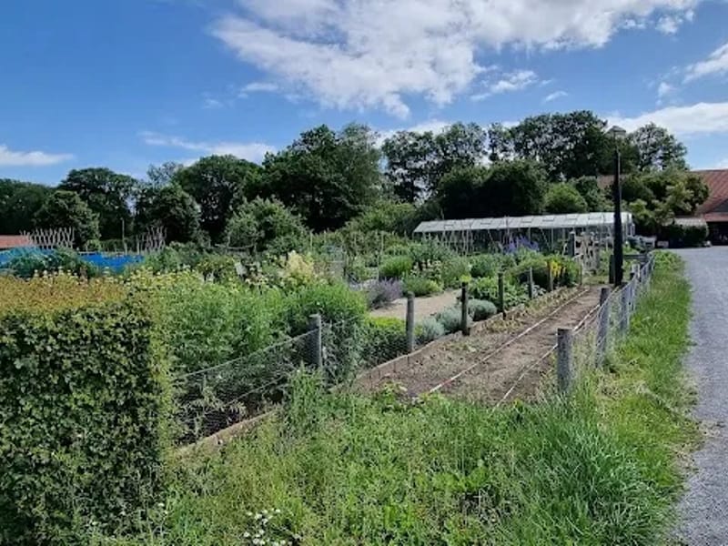 De Hagert - Begeleid Wonen in Wijchen, Gelderland photo 1