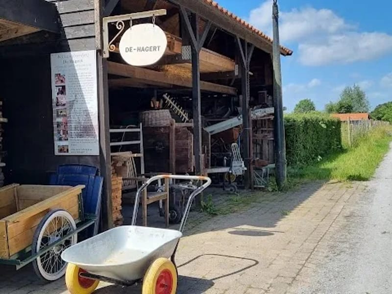 De Hagert - Begeleid Wonen in Wijchen, Gelderland photo 6
