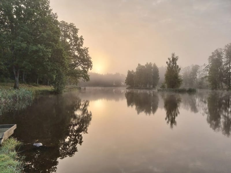 Tolsjö - Äldreboende in Lidköping, Västra Götalands län photo 2