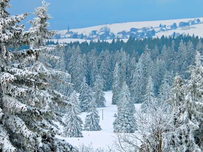 Alaskan Home Health, Inc - Home Health Nursing in Anchorage, AK photo 1