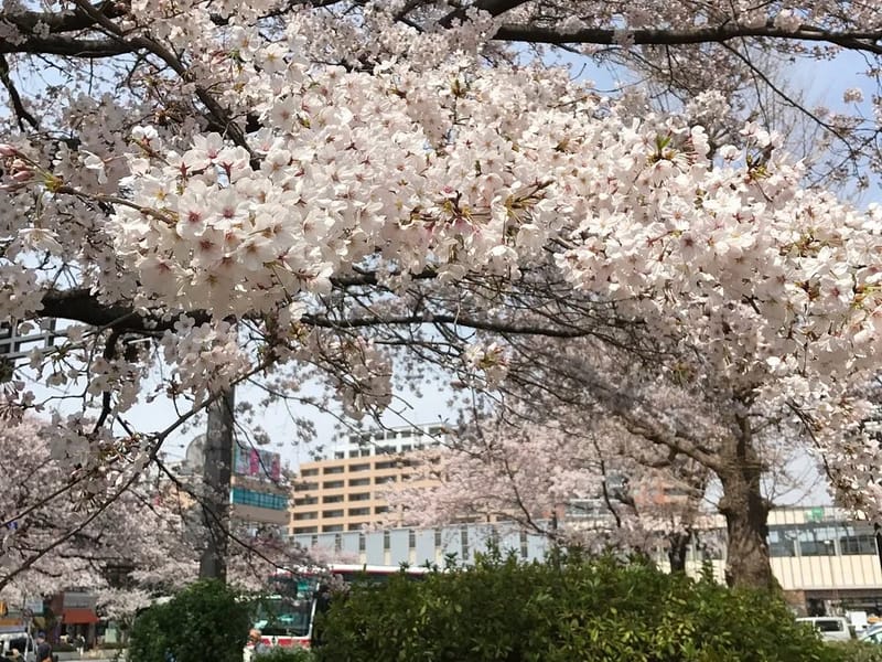 おおきなき国立 - 有料老人ホーム in 国立市, 東京都 photo 3