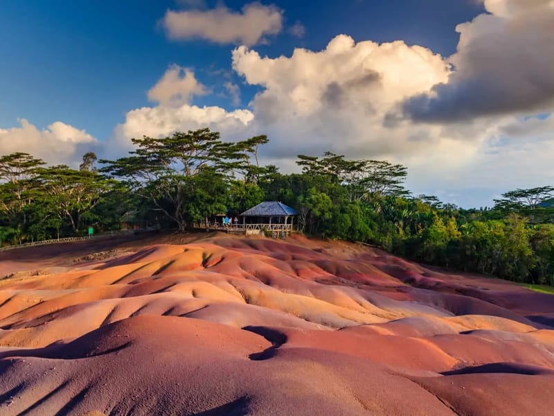 Chamarel - In-Home Care in Cambridge, England photo 1