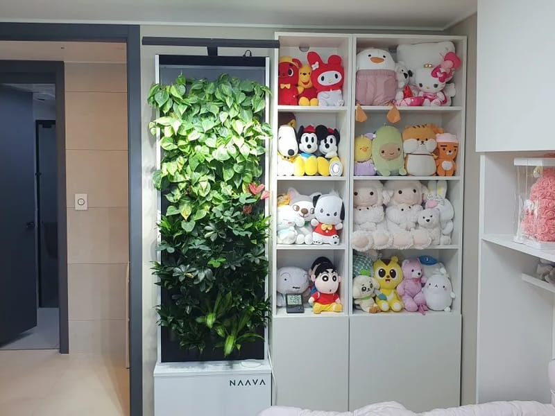 늘푸른사랑채 공동생활가정 in 시흥시, 경기도 photo 2