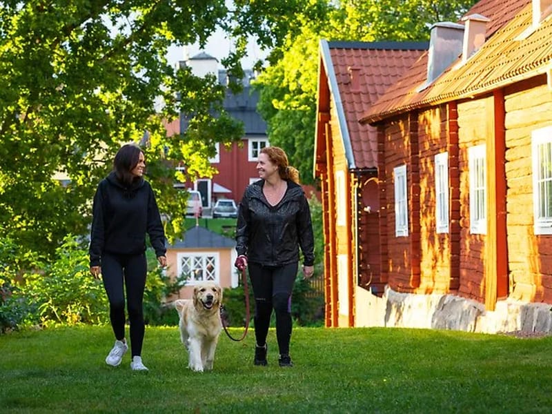 Hemtjänsten - Hemtjänst in Arboga, Västmanlands län photo 2