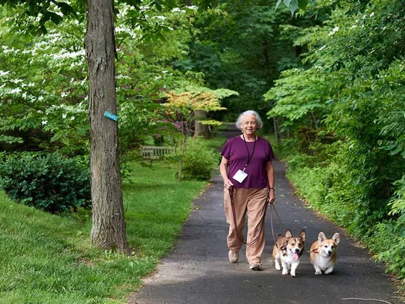 Foulkeways at Gwynedd - Assisted Living in Gwynedd, PA photo 1