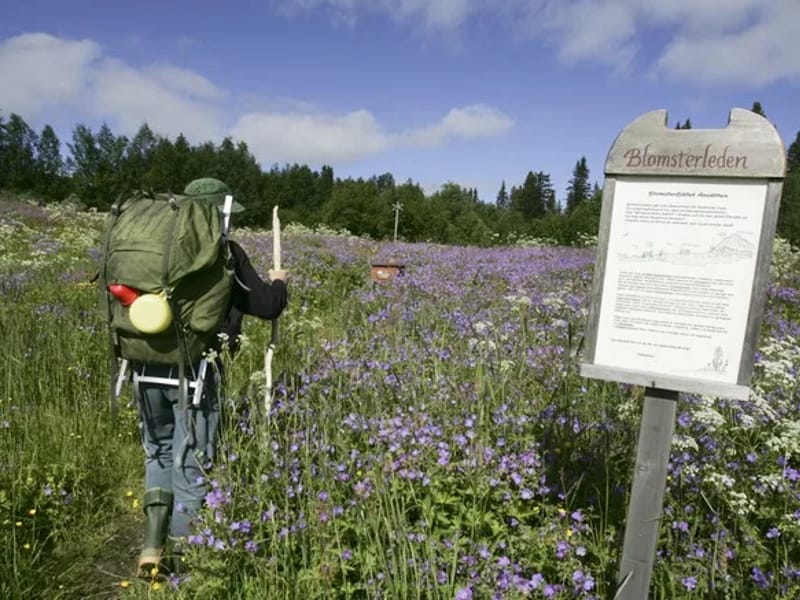 Blomstergården - Äldreboende in Krokom, Jämtlands län photo 3