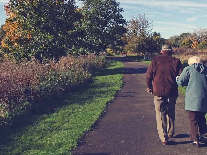 All Ages Care Management, LLC — Geriatric Care Management, Newington, CT · photo 2