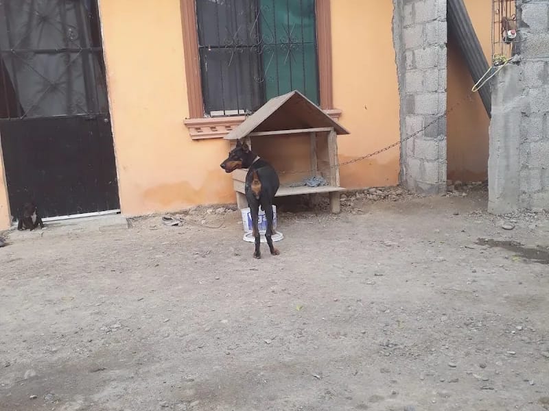 ASILO MADRE TERESA DE CALCUTA - Hogar de Ancianos in Pánuco, Veracruz photo 4