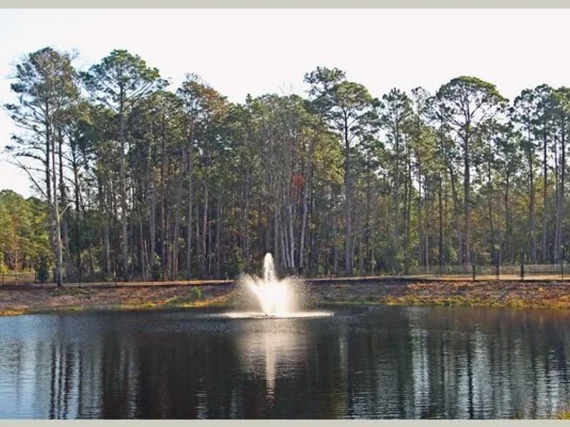 Addington Place Of Brunswick - Assisted Living in Brunswick, GA photo 3