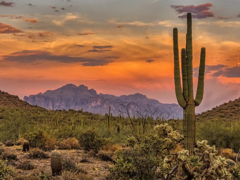 Eternity Hospice & Palliative Care - Hospice in Phoenix, AZ photo 1